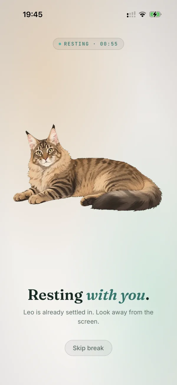iPhone 上 Pet Pause 的休息页面,一只手绘小猫正趴着陪你